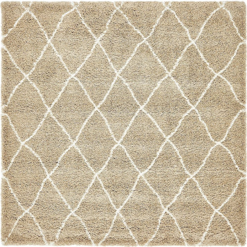 Walsenburg Oriental Indoor Rug, Square 8'