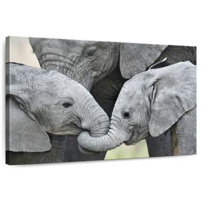 African Elephant Calves - Tanzania