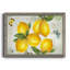Carte postale citrons - reproduction de photo encadrée-1497204403-1497204407