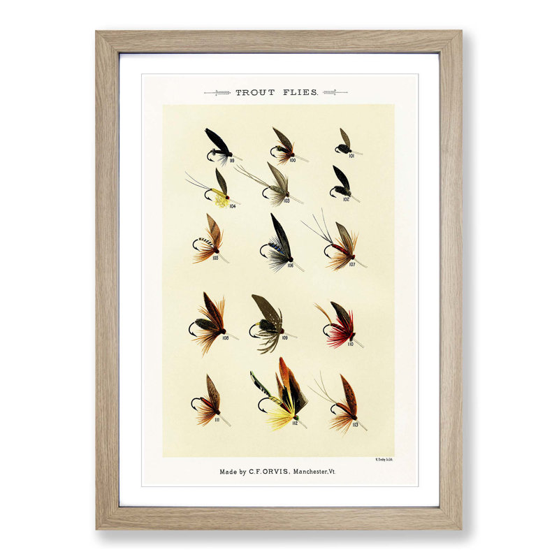 Trout Fishing Flies Version 4 by Mary Orvis Marbury - Picture Frame Painting Print, 50cm H x 35cm W x 2cm D, Oak