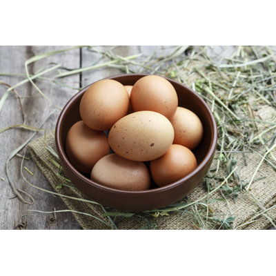 Fresh Eggs - Wrapped Canvas Print