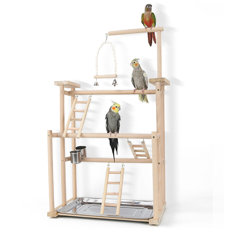31 oiseaux