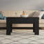 Hutt Lift Top Four Leg Coffee Table with Storage-668619288-668619280
