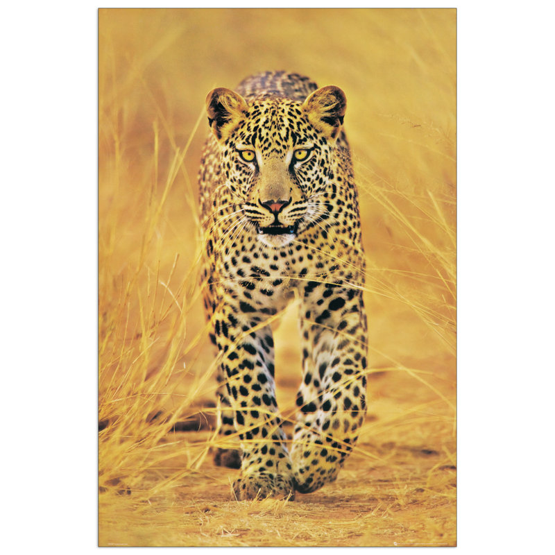 Cheetah The Big Cat Photographic Print on Wood