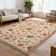Area Rug