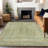 Machine Washable Indoor/Outdoor Xhevrie Aloe Rug-1016799808