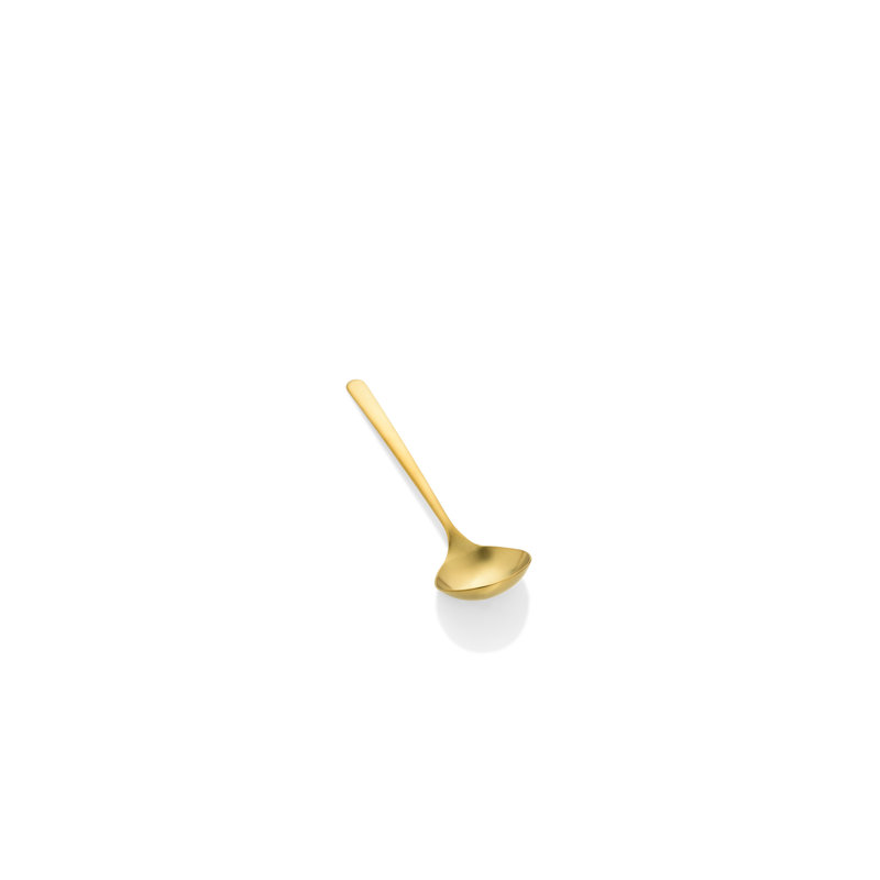 Linea Stainless Steel Ladle, Ice oro