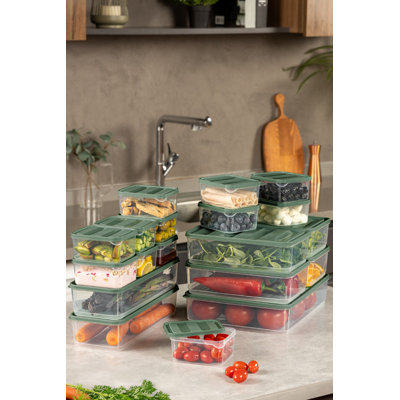 Ensemble de boîtes de rangement polyvalentes vertes (19 pièces), 11 x 12 x 3 pouces (2), 9 x 6 x 3 pouces (4), 4 x 4 x 2 pouces (12), 9 x 11,5 x 2,5 pouces (1) | 100% plastique, va au lave-vaisselle | Idéal pour organiser vos essentiels de cuisine et de maison