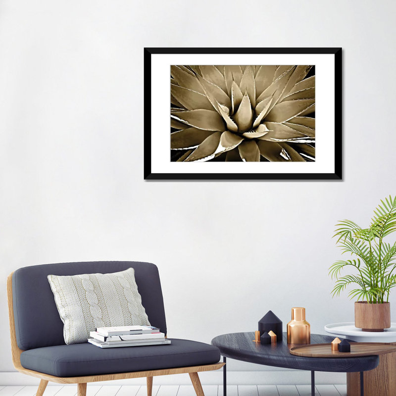 « taupe succulent iii », impression sur toile, H 18 po x l 26 po x P 1,5 po, Toile avec cadre noir, Blanc