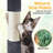 Sievers Cat Scratching Post and Cat Condo-1274867540