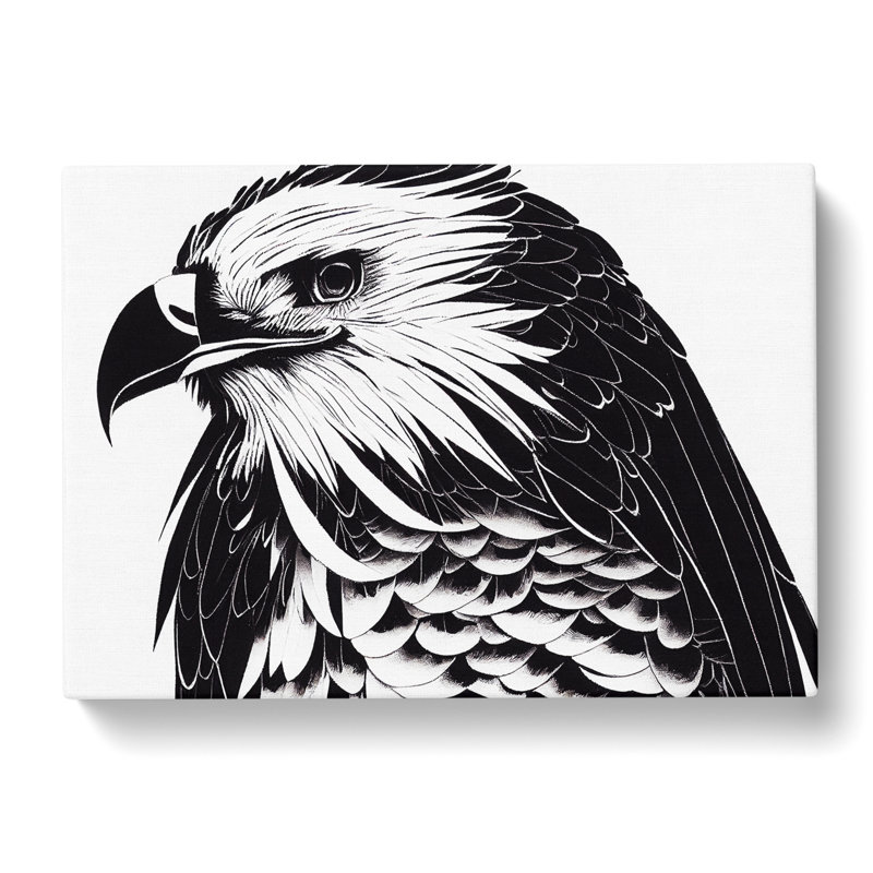 Tremendous Eagle Bird - Wrapped Canvas, 50cm H x 76cm W x 3cm D