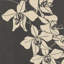 Orchids Print by Samuel Jessurun De Mesquita