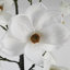 110Cm Artificial Magnolia Tree Plant in Pot-88685045-124076866