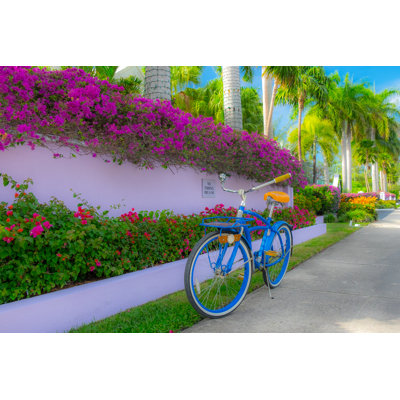 " Cruiser Bike "