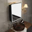 Miroir pour armoire à pharmacie Mahisha-818394992