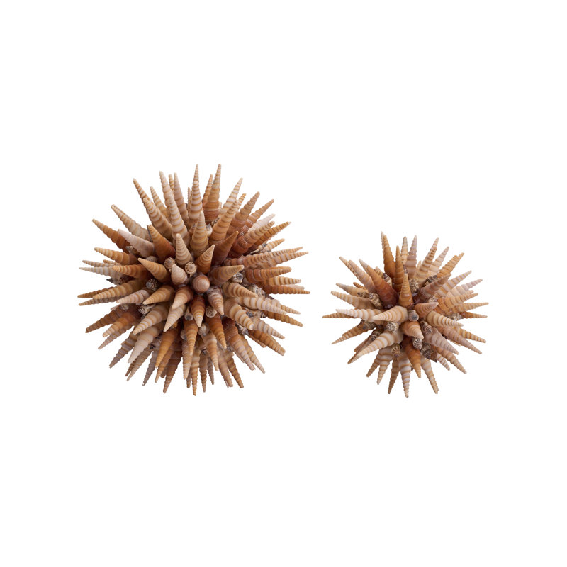 Marlin Shell Ball (LG)