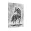 «Animals Horse in Motion», reproduction d'art sur toile-1569387949