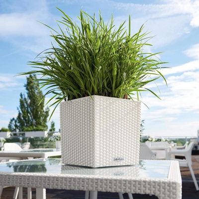 Moneak Planter Box