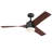 Evan 52'' Ceiling Fan with LED Lights