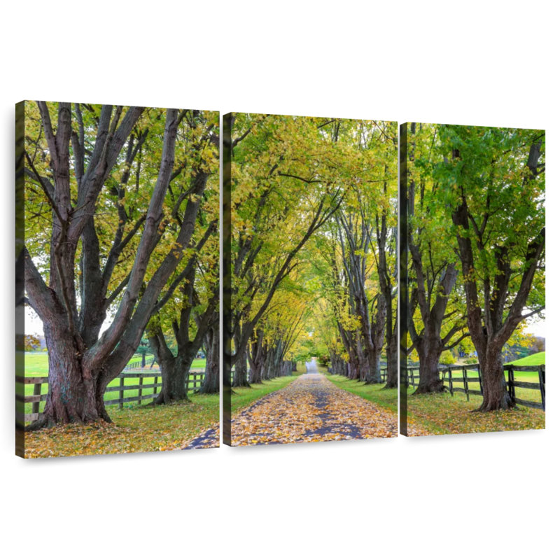 Arbres Harnek Country Lane, H 28 po x l 45 po