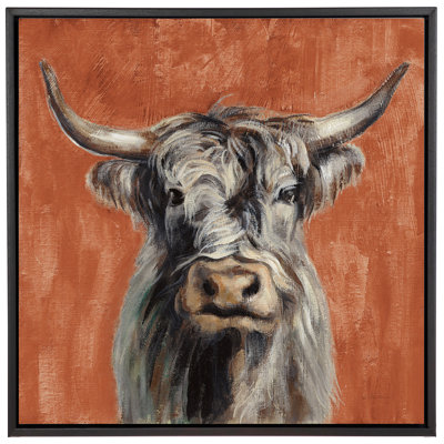 Highland Cow On Terracotta