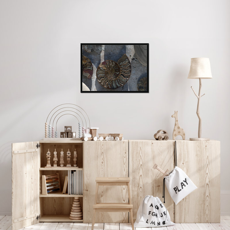 Gifts Of The Shore XVI by Elena Ray - Print, 34cm H x 50cm W, Black Framed Paper Print