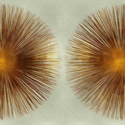 " Bronze Sunburst Ii "