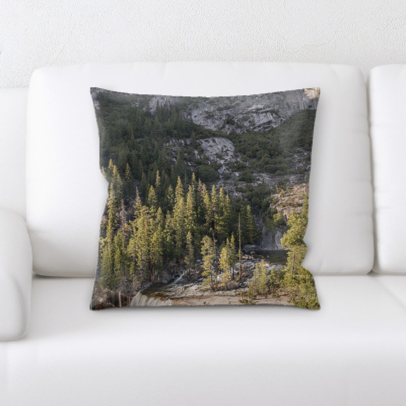 Lanier Throw Pillow