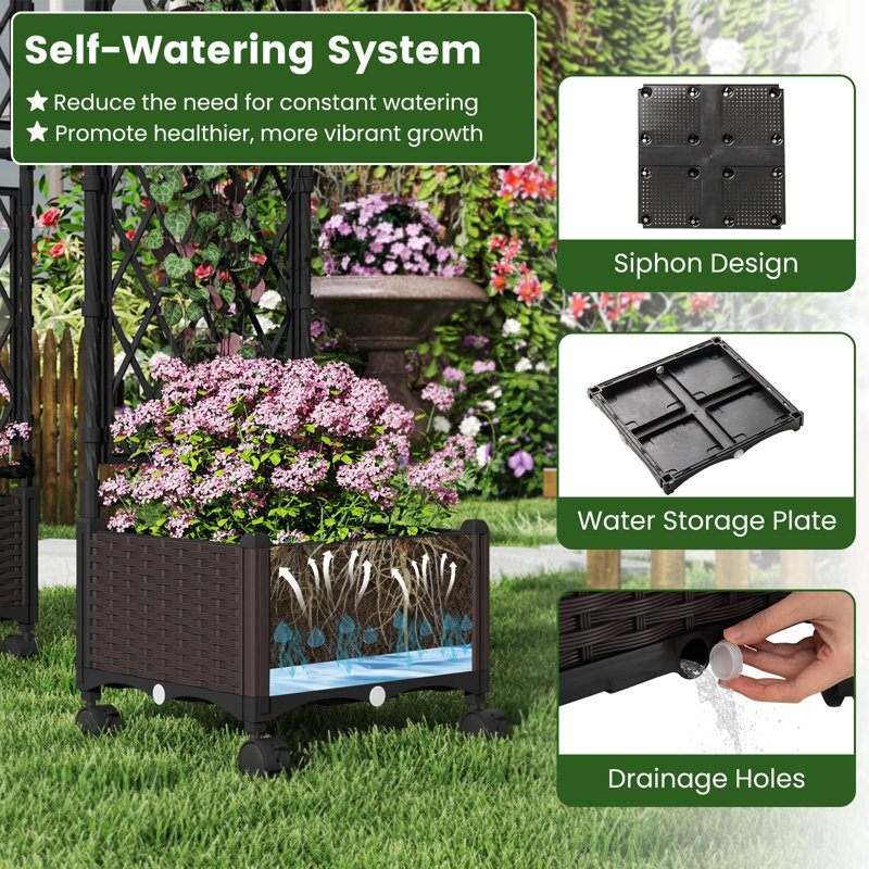 162cm H x 80cm W Expanding Trellis