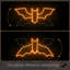 LED Neon Orange Bat Flying Effect Signs Holloween Home Decor 