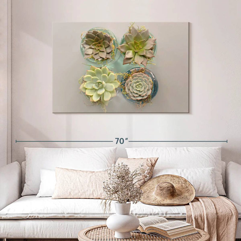 Harnek Succulent Pots