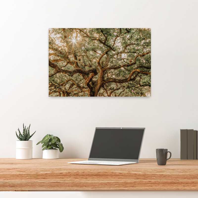 Low Country Oaks I, art contemporain de paysage de chêne abstrait, H 24 po x l 16 po