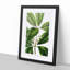 Flowering Tristania Plant - Framed Print-55576276-55576277