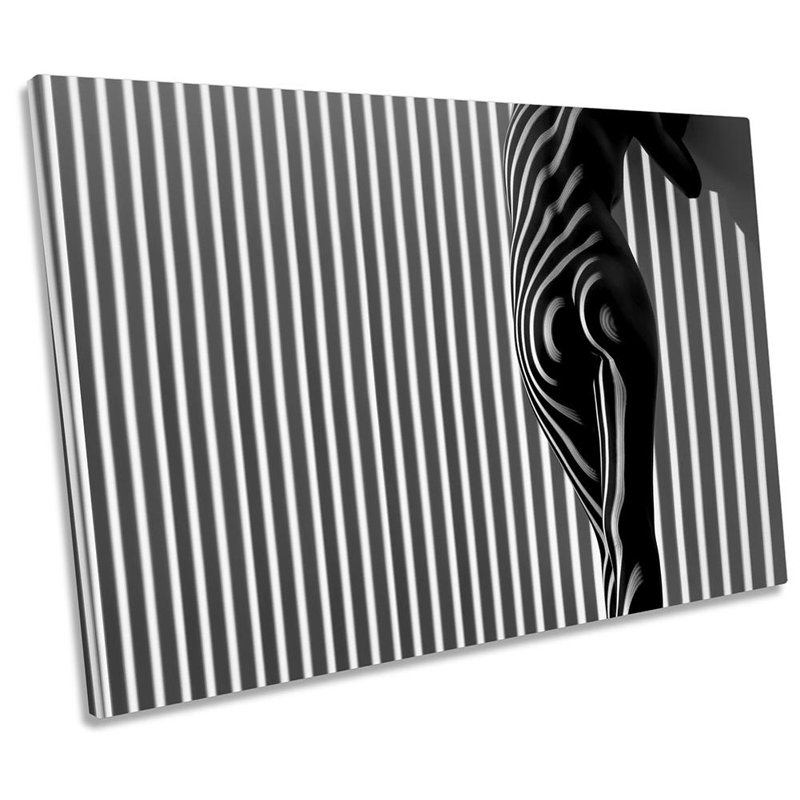 Black And White Stripes Model Framed - Wrapped Canvas Print, 30.5cm H x 45.7cm W x 2cm D
