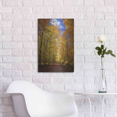 «Way to Fall» par Philippe Sainte-Laudy, art mural en métal, 12 po x 16 po