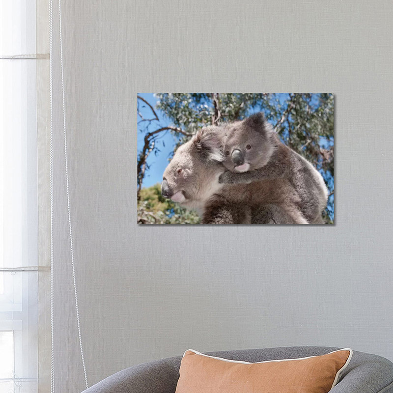 Koala Mother Carrying Young in Gum Tree Forest, Victoria, Australia 1 Piece Wrapped Canvas Wall Art