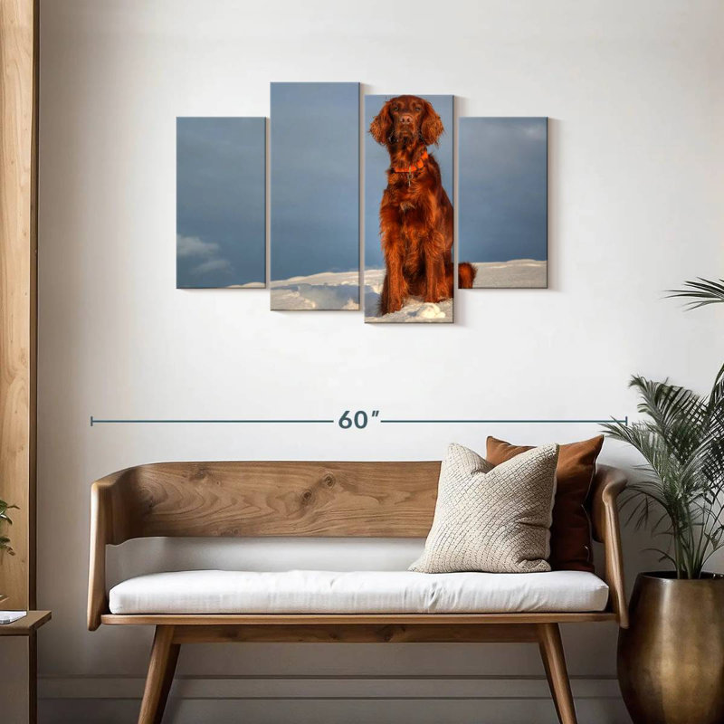 Irish Setter On Snow