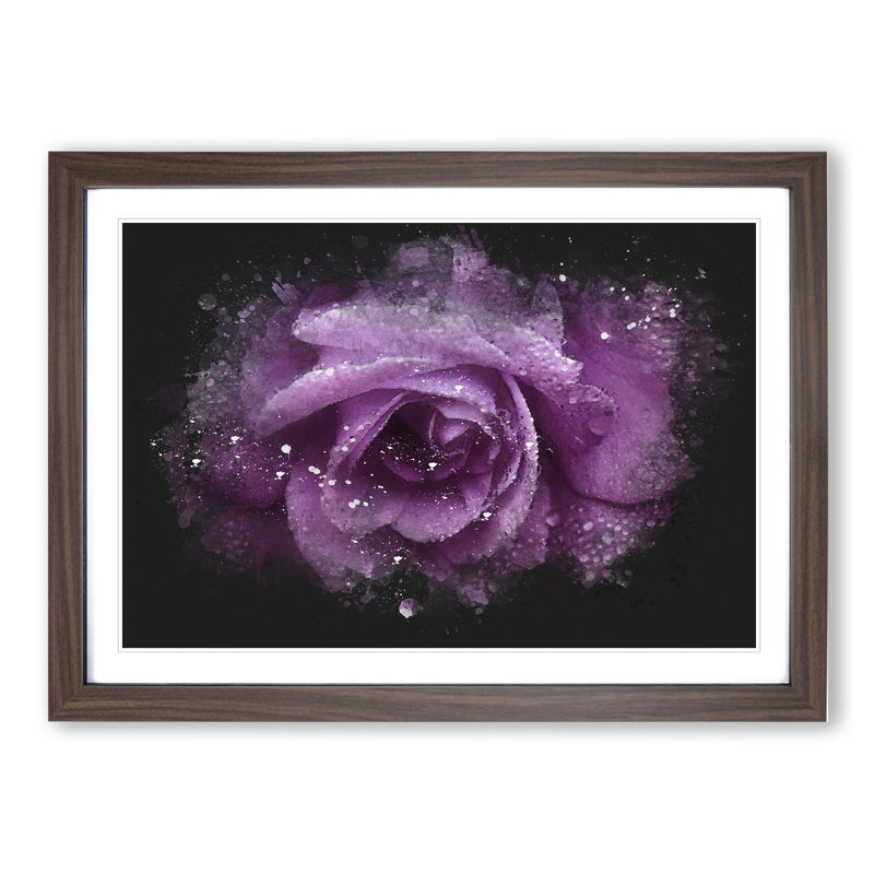 Purple Rose Flower Vol.1 - Single Picture Frame Print on Wood, 27cm H x 36cm W x 2cm D, Walnut Framed
