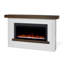 Bernice 65" Landscape Electric Fireplace by Real Flame
