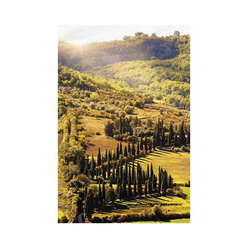 Countryside In Tuscany Italy With Cyprus Trees by Susan Richey - Gallery-Wrapped Canvas Giclée on Canvas, Canvas
