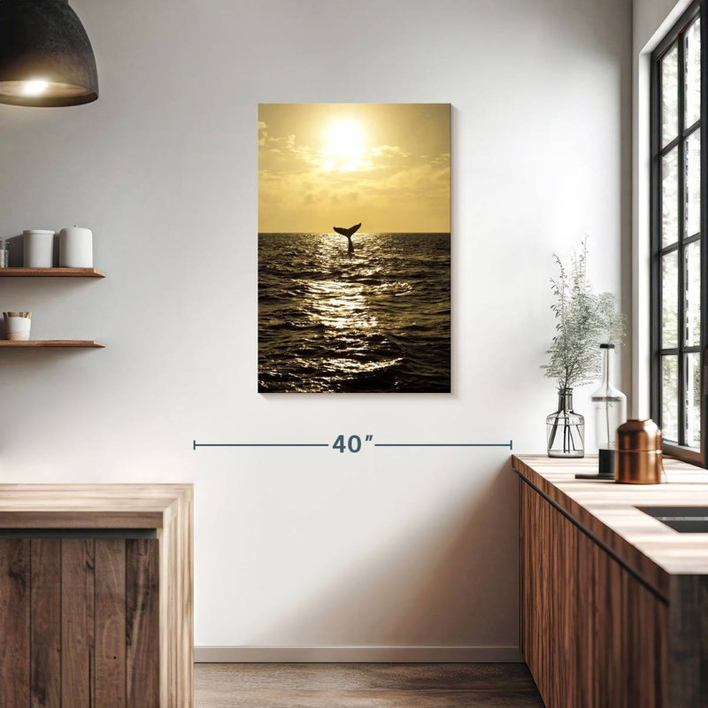 Baleine à bosse Brampt, H 36 po x l 24 po