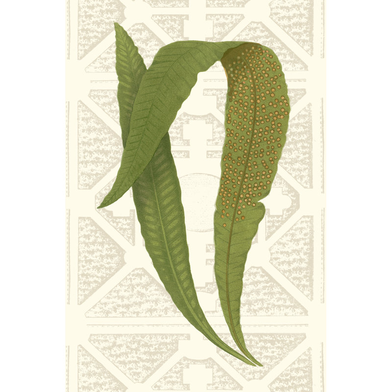 Garden Ferns IV - Graphic Art, 122 cm H x 81 cm W, Wrapped Canvas