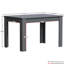 Iriemi Dining Table-331183646-398440643