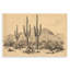 «Cactus Desert Vintage Landscape», plaque murale par Petal Prints Design-1830955080