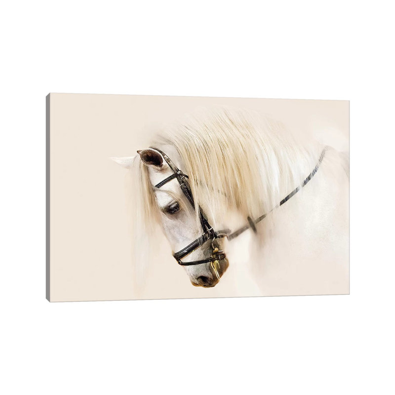 Purebred II by Ozana Sturgeon - Wrapped Canvas Print, 20.32 cm H x 30.48 cm W