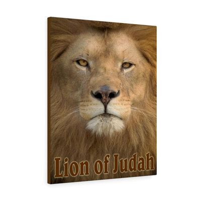 Lion Of Judah - Wrapped Canvas Print