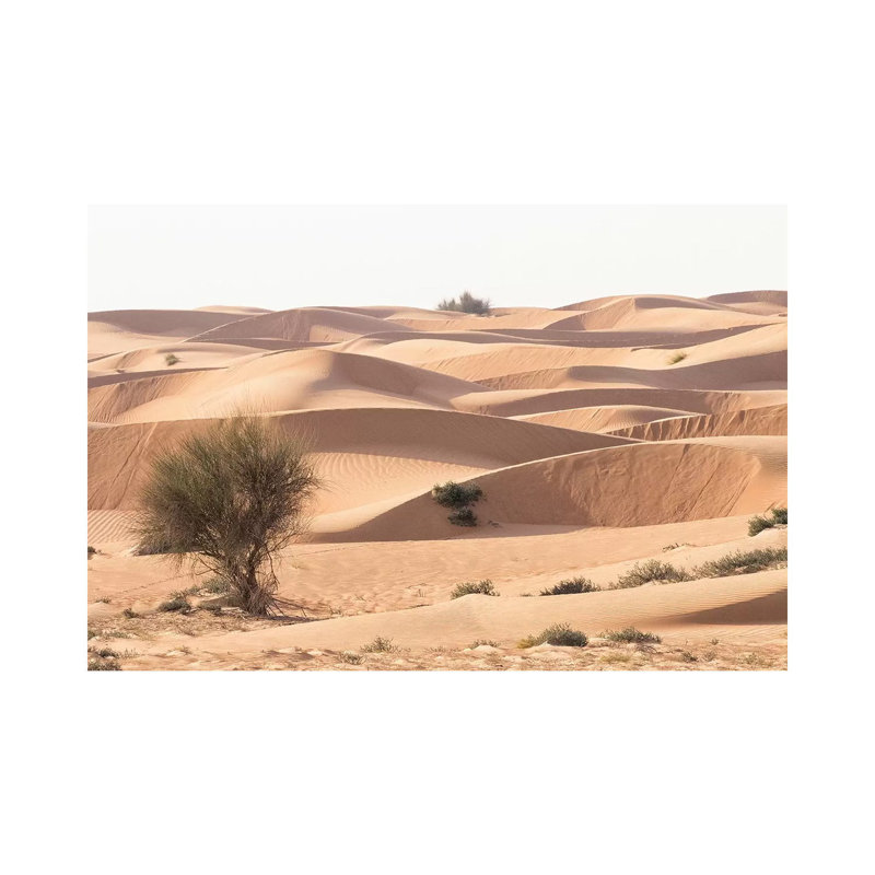 Desert With Sand. Abu Dhabi, United Arab Emirates. by Tom Norring - No Frame Gallery-Wrapped Canvas Giclée on Canvas