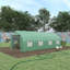 Serre de 20 pi x 10 pi x 7 pi, serre Green Tunnel-98347674-83205644