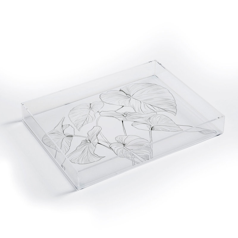 Plastic / Acrylic Tray, 2" H x 8" W x 6" D