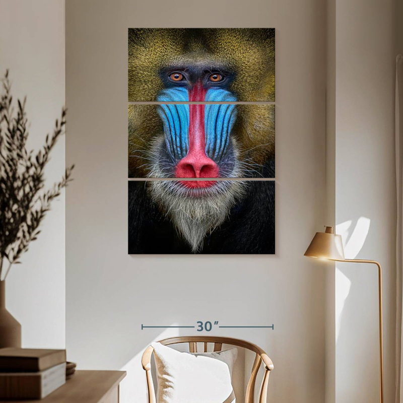 Singe Brampt, H 65 po x l 42 po